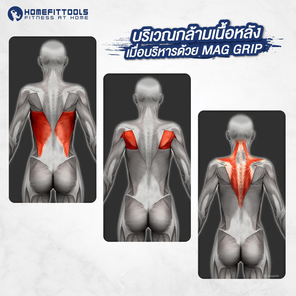 อุปกรณ์เคเบิ้ล CLOSE GRIP HOMEFITTOOLS MAG GRIP-8 ขนาด 35CM
